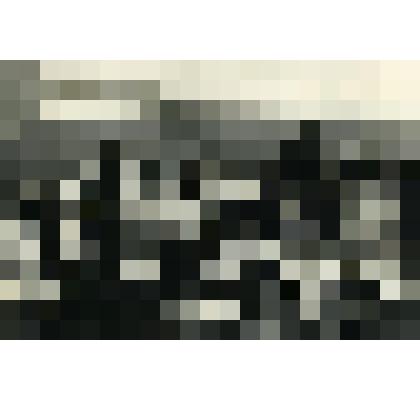 Фотография. Учащиеся средней школы №  877 Пролетарского района. Село Коломенское