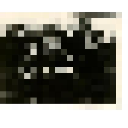 Фото сюжетное. Визит члена Политбюро ЦК КПСС Д.Ф.Устинова в Акустический институт Академии Наук СССР