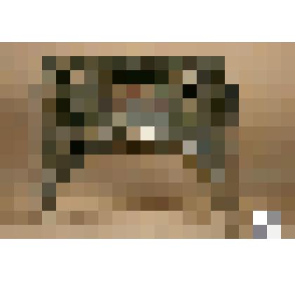 Сень - фрагмент иконостаса