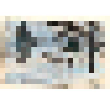 Серый зимний день