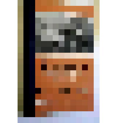 Книга. Воспоминания яснополянских крестьян о Л.Н. Толстом