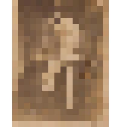 Погрудная ч/б фотография артистки Горномарийского драмтеатра 1930-х годов Монина Дария Григорьевна