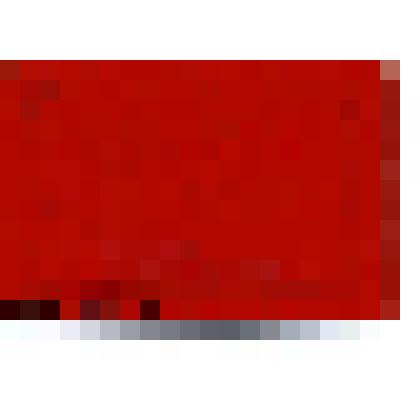 Мандат №450 (декабрь 1956 г.) делегата XIII Троицкой городской партийной конференции с правом решающего голоса Трайнина Петра Афанасьевича