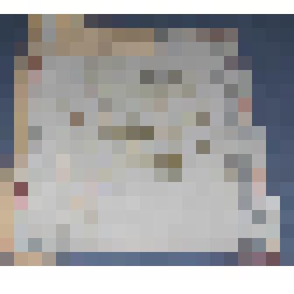 Ботаническая коллекция. Звездчатка злачная, семейство гвоздичные, на гербарном листе, с.Ермаковское, окрестности. Caryophyllaceae P. Stellaria Z. B, graminеa Z