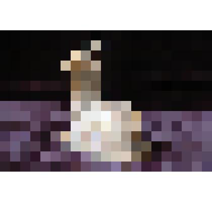 Лежащий козел