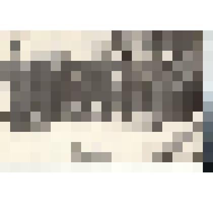 Ф/чб. Проводы чехословацкой делегации на вокзале (5 слева - Козобродов А.Ф., 2 справа - Брагазин М.А.). 6 декабря 1969 г