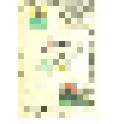 Шемахинская губерния (Закавказский край)