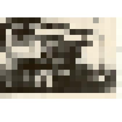 Фотография: председатель запсибкрайисполкома Гридинский, председатель Каменского райисполкома Бычков и Терещенко на 2-й районной с/х выставке в 1936 г. в г.Камень-на-Оби. Копия