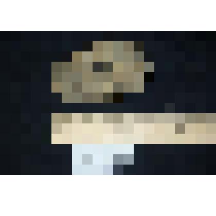 Окремнелая губка