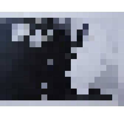 Фотография.Ученики изостудии