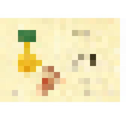 Свидетельство № 052587 Главного комитета ВСХВ, выданное Егорову М.Г. Москва, 24 мая 1956 г.2 л