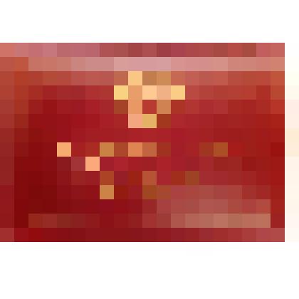 Депутатский билет Верховного Совета РСФСР, 4 созыв, 1955 год