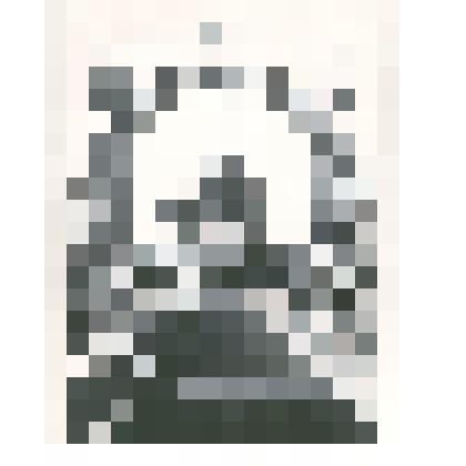 Фотография: первый поезд, прибывший на станцию Камень, проходит арку