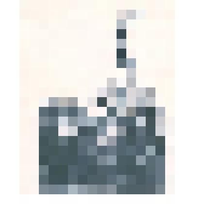 Фотография: старейшие учителя г.Камня-на-Оби в сквере возле памятника борцам революции в г.Новосибирске