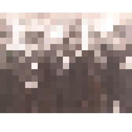 Фотография. Встреча с ветеранами Шемаров В.М, Воронин М.М. и др