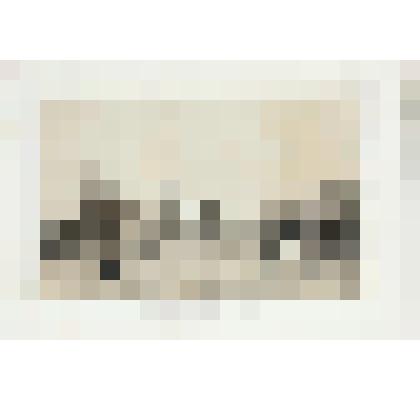 Литография. "Санкт-Петербург. Исаакиевский собор и Сенатский дворец. Вид с Невы."