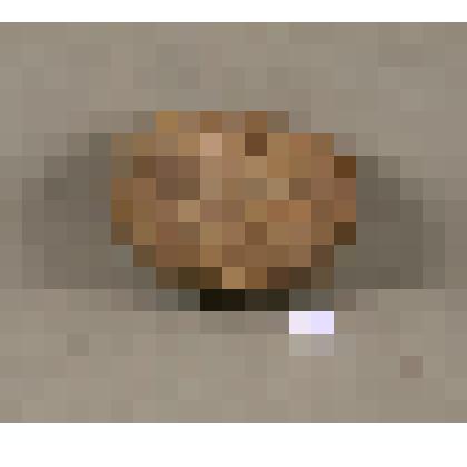 Крышка от пестеря