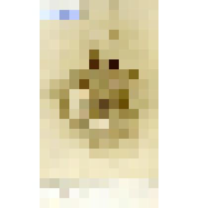 Фотография черно-белая. Севастьянов Павел Михайлович