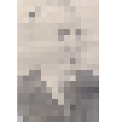 Туленков К.И