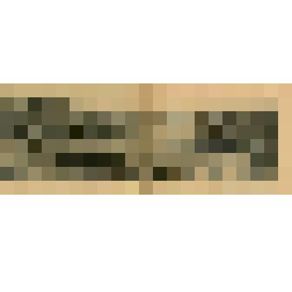 Лист. Южная бухта. Из альбома "Виды Севастополя"