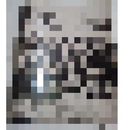 Фото групповое.
  «Группа бойцов  Северо-Кавказского пулеметного полка»                  
 20-е г. ХХ венка, период  Гражданской войны