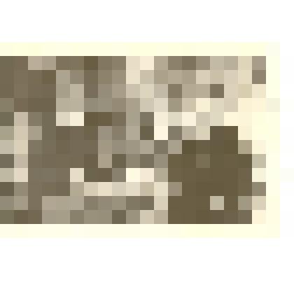 Фотография. Встреча красных партизан Пьянкова И.И., Маздрина И.П. и Егорова Е.А