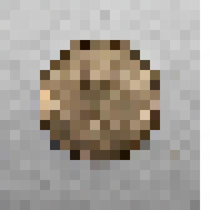 Монета России достоинством 5 рублей