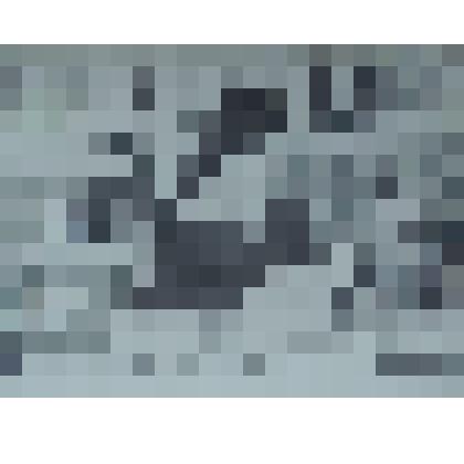 Фото: Юрьева Е.Н