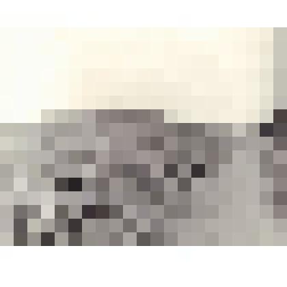 Фото.Курган на поле колхоза им К.Маркса,с.Ломовка