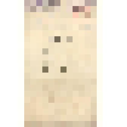 Документ. Чертеж фасада пристройки почтового отделения к пассажирскому зданию на станции Витебск Риго-Орловской железной дороги