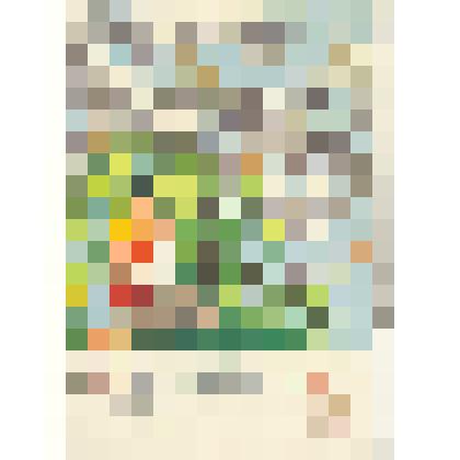 Открытка 1961 г., художник Н.Гольц, Государственное издательство изобразительного искусства