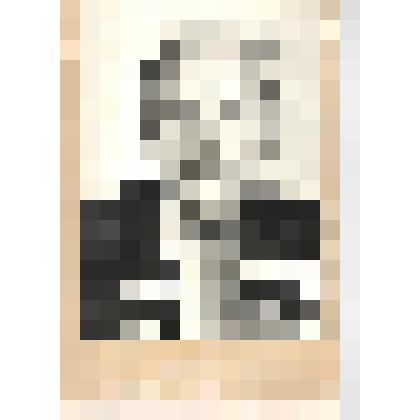 Фотография. Портрет Перевертайло Николая Ивановича