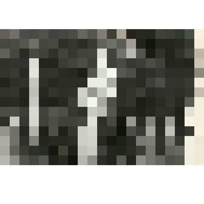 Фотография. Братская могила в д.Поповка