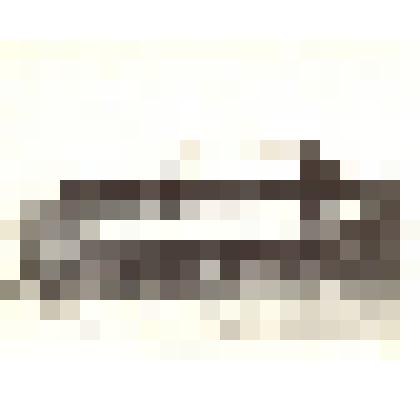 Фотография: пароход на пристани села Камень Барнаульского уезда Томской губернии. Копия