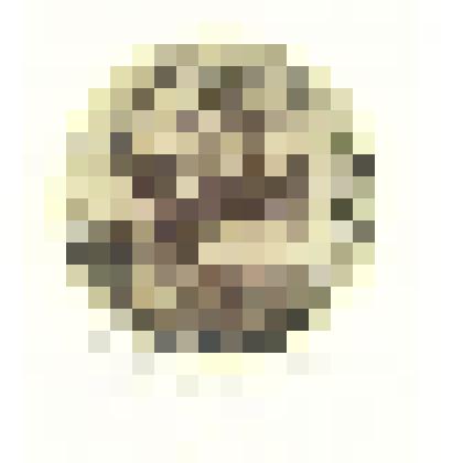 Экслибрис Елены Москальцовой.2004