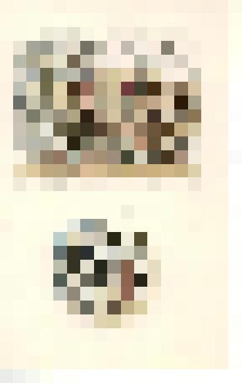 Бегство калмыков. Иллюстрация и концовка к поэме С. Есенина "Пугачёв"