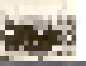 Фотография: Алтайская делегация у развернутого знамени Победы в Москве. Копия