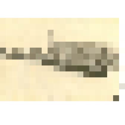 Фотография: демонстрация 7 ноября 1957 года в г.Камень-на-Оби Алтайского края