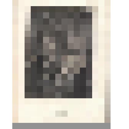 Образованные дамы