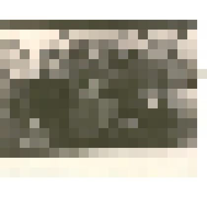 Фотография: бригада коммунистического труда Каменского авторемонтного завода. Бригадир Пирцхалава В.А