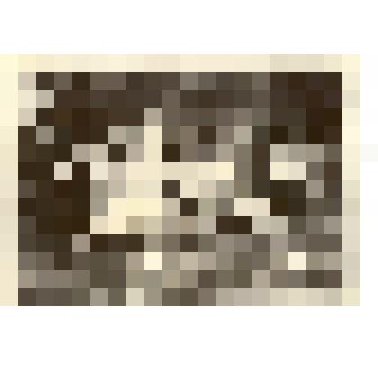 Фотография: первая зоотехническая группа выпускников Каменского зооветтехникума в 1958 г