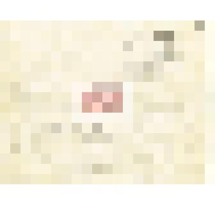 Телеграмма      Мартина   Николаю Михайловичу           Мартьянову с уведомлением  о  выходе  работы  и  её большом успехе, просьбой фотографировать  новые      предметы, сделать    восковые    оттиски    со   всех китайских надписей