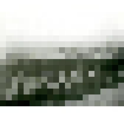 Фотография. Тундра, р. Мити