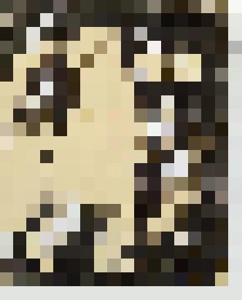 Мужчина с кошкой и женщина с ребенком. Беженцы