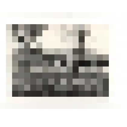 Фотография. Детские ясли племзавода