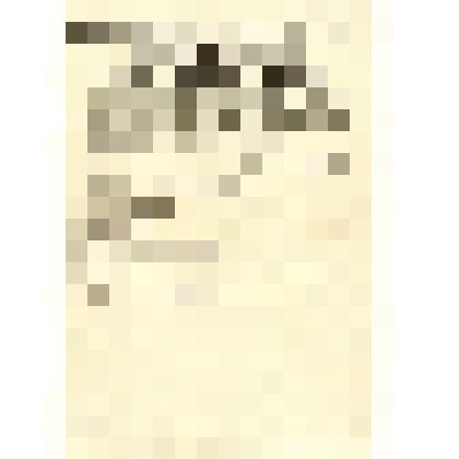 Биография Савченко Евгении Петровны – кандидата в депутаты Боготольского районного Совета депутатов трудящихся по избирательному округу №13