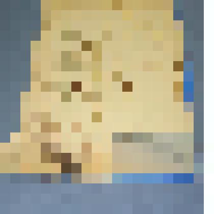 Ботаническая коллекция. Осока альпийская, семейство осоковые, на гербарном листе, Оросительная по бортам колхоза "Красный огород". Cuperaceae Carex alpina Swartz