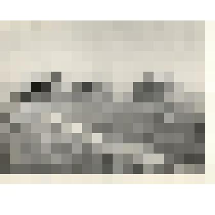 Фотография: групповой метод уборки урожая в колхозе "Рассвет" Каменского района Алтайского края