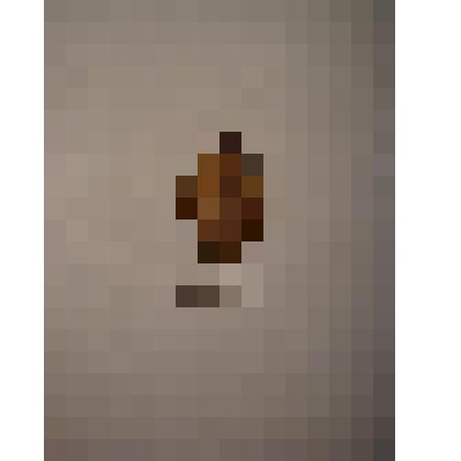 Жетон с изображением Л.Н.Толстого