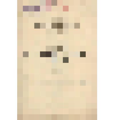 Документ. Проект пассажирского здания в Санкт-Петербурге по Витебской линии. Вид I-го этажа